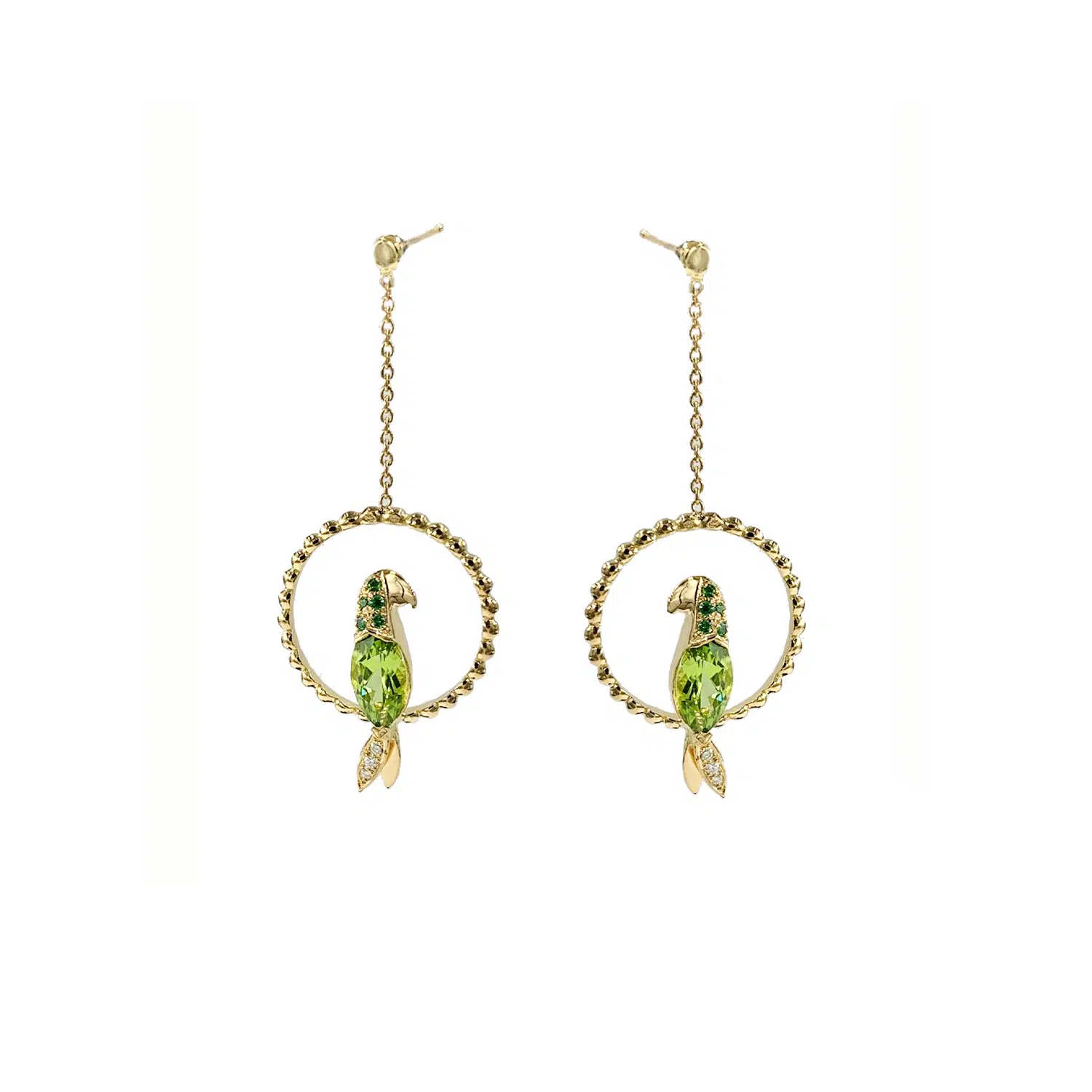 Parrots earrings